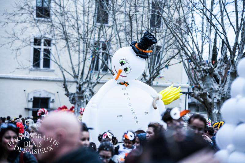 Carnaval Montélimar 2013