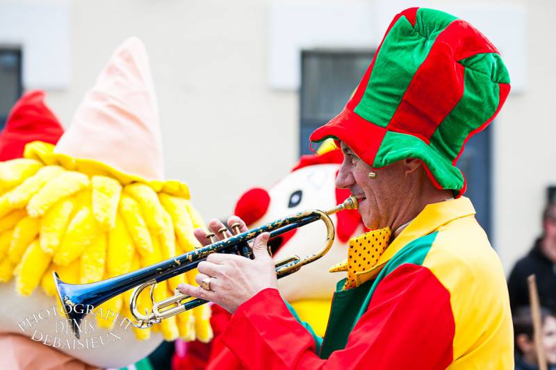 Carnaval Montélimar 2013