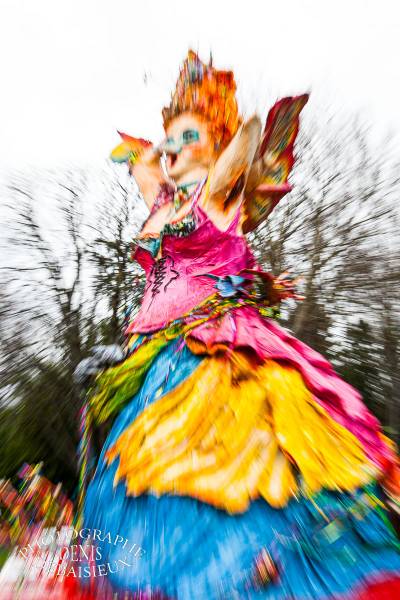 Carnaval Montélimar 2013