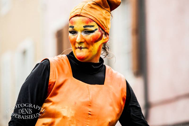 Carnaval Montélimar 2013