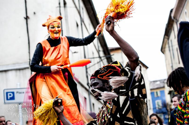 Carnaval Montélimar 2013