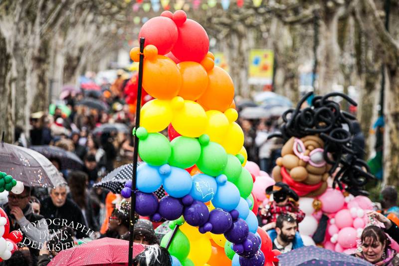 Carnaval Montélimar 2013