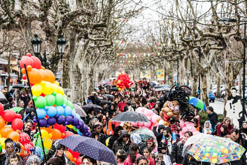 Carnaval Montélimar 2013
