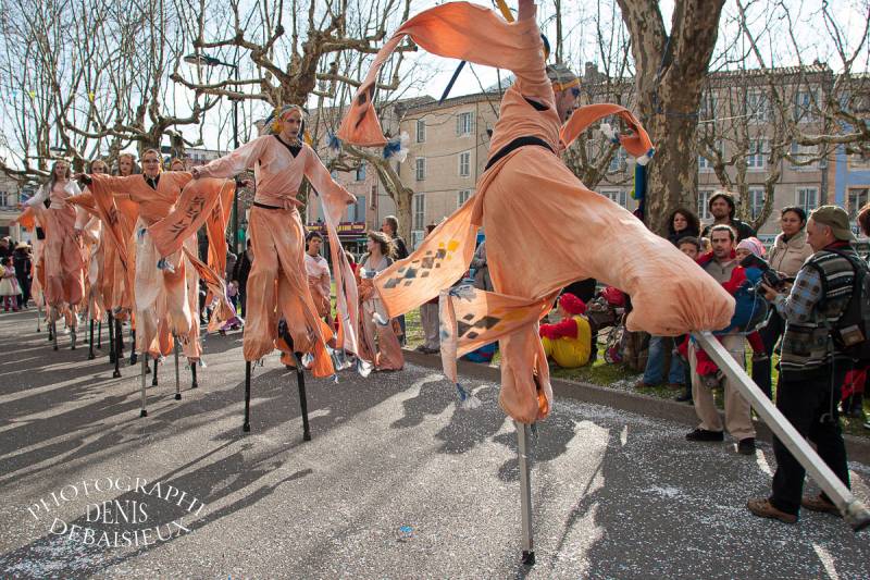 Carnaval Montélimar 2011