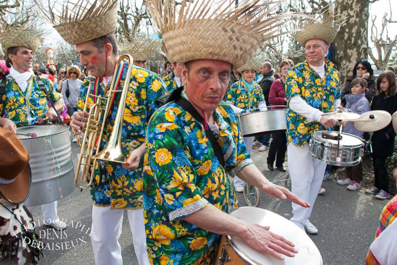 Carnaval Montélimar 2011