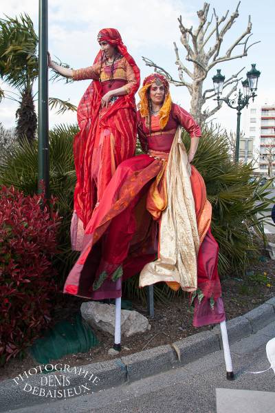 Carnaval Montélimar 2011