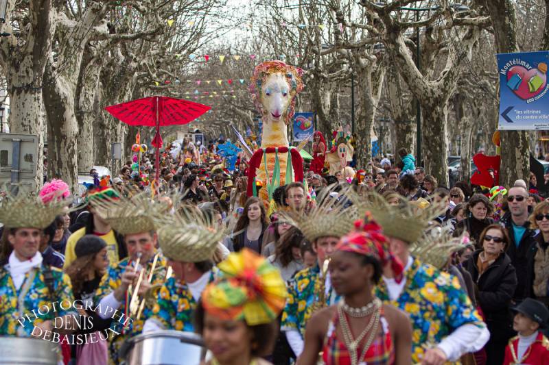 Carnaval Montélimar 2011