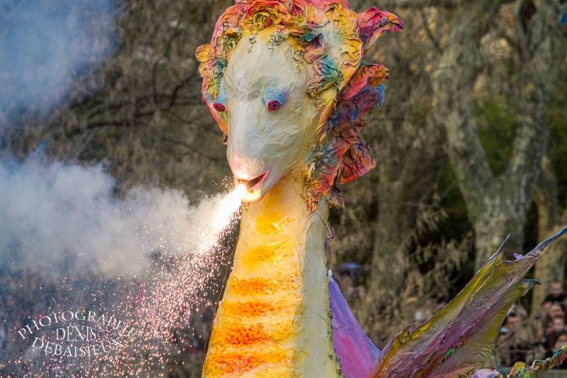 Carnaval Montélimar 2011