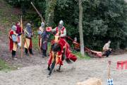Fête des batelier 2015