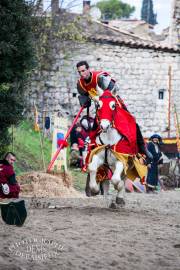 Fête des batelier 2015
