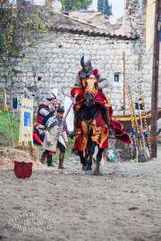 Fête des batelier 2015