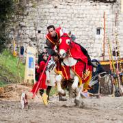 Fête des batelier 2015