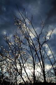 Ciel d'orage au printemps.