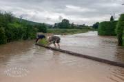 Inondation