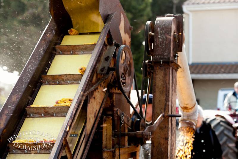 Foire agricole de la laupie 2013