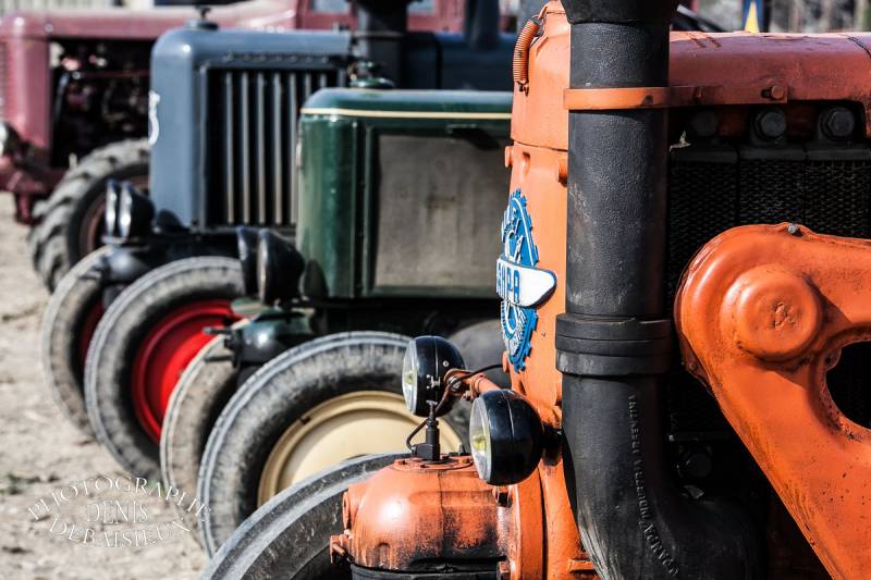 Foire agricole de la laupie 2013