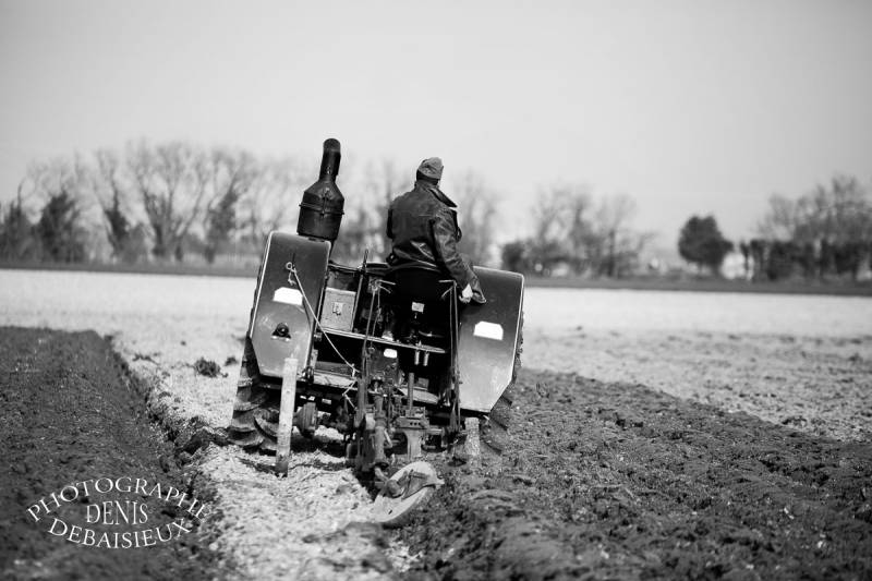 Foire agricole de la laupie 2013