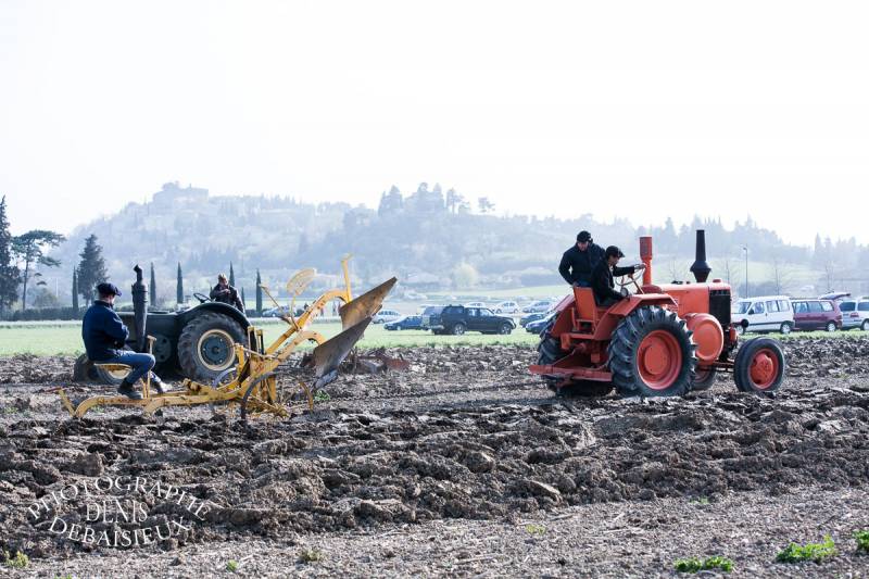 Foire agricole de la laupie 2013