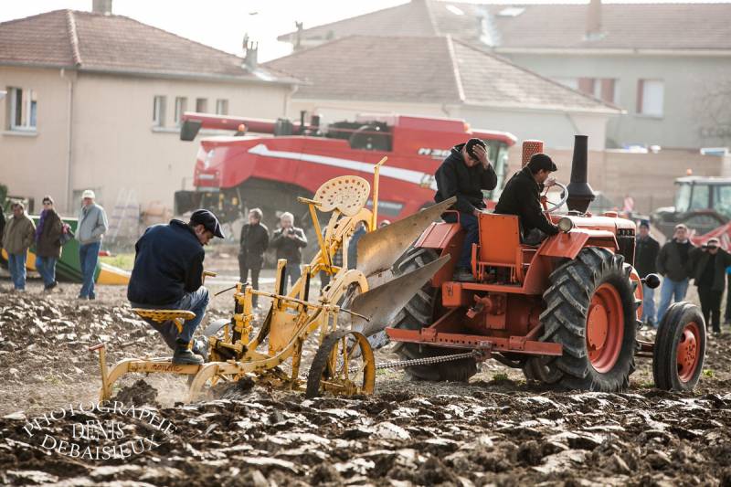 Foire agricole de la laupie 2013