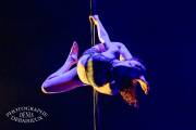 Poledance