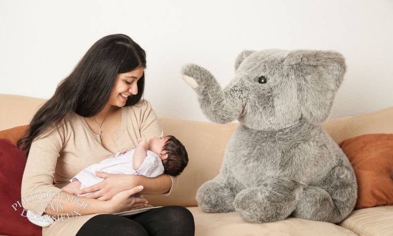 Sous le regard de l'éléphant en peluche