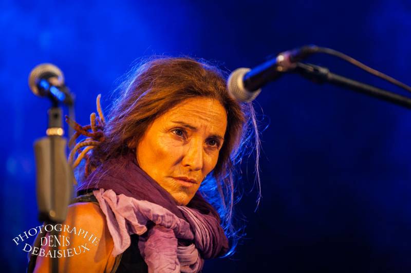 Ze Fiestival 2012