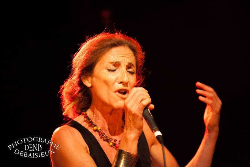 Ze Fiestival 2012