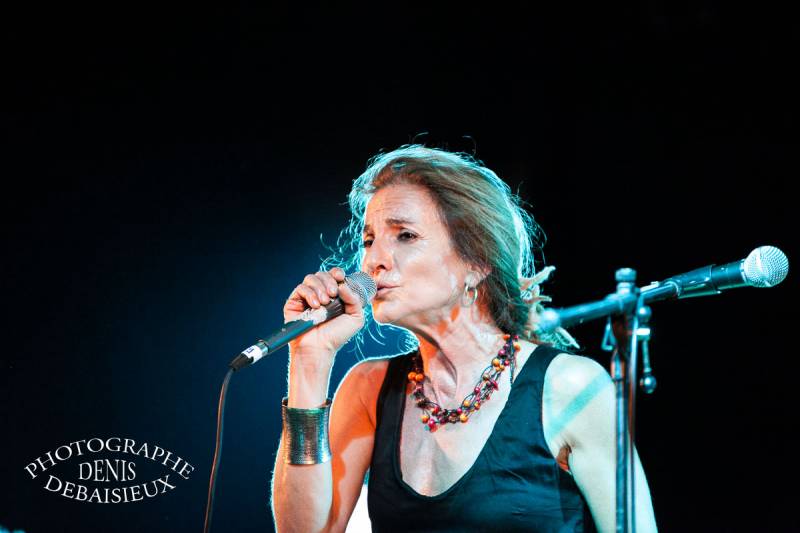 Ze Fiestival 2012