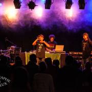 Ze fiestival 2014